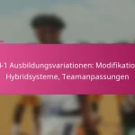 3-2-4-1 Ausbildungsvariationen: Modifikationen, Hybridsysteme, Teamanpassungen