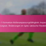 3-2-4-1 Formation Rollenanpassungsfähigkeit: Anpassung an Gegner, Änderungen im Spiel, taktische Flexibilität