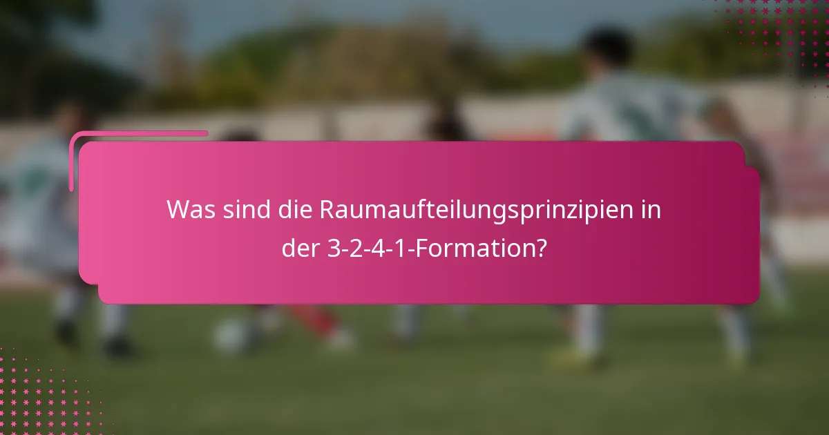 Was sind die Raumaufteilungsprinzipien in der 3-2-4-1-Formation?