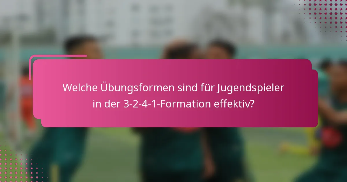 Welche Übungsformen sind für Jugendspieler in der 3-2-4-1-Formation effektiv?