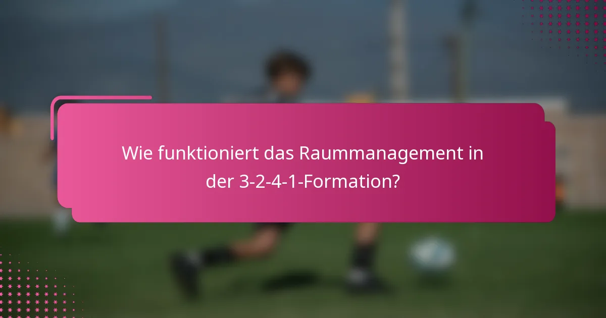 Wie funktioniert das Raummanagement in der 3-2-4-1-Formation?