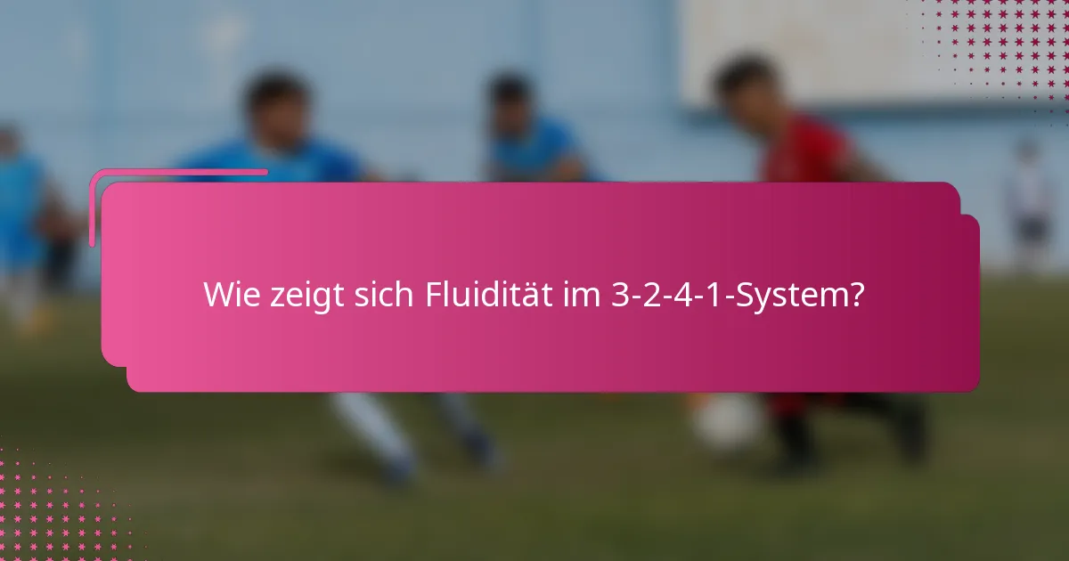 Wie zeigt sich Fluidität im 3-2-4-1-System?